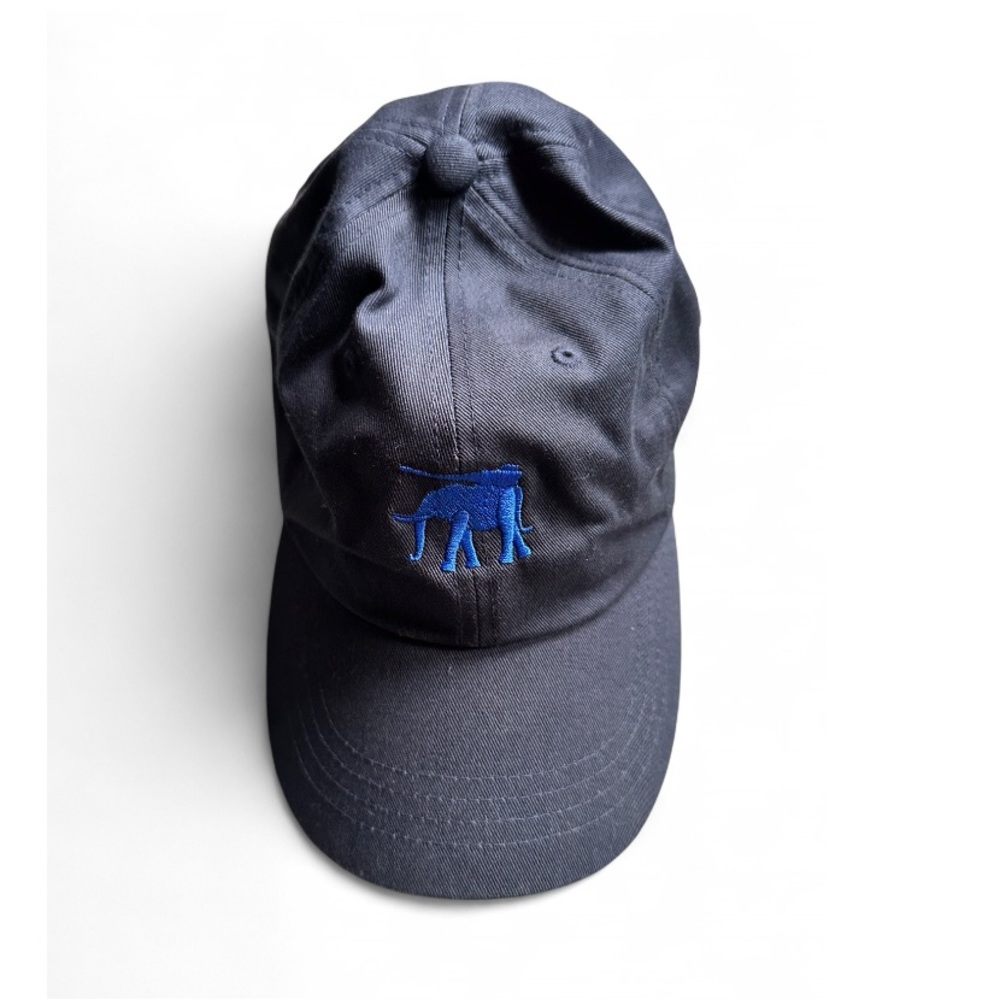 Arm the Animals Clothing 
Iron Tusk 1.0 - Classic Dad Cap/ Hat- Navy